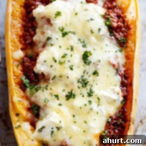 Lasagna-Stuffed Spaghetti Squash Boats 7 Top view image of Spaghetti Squash Lasagna Boats