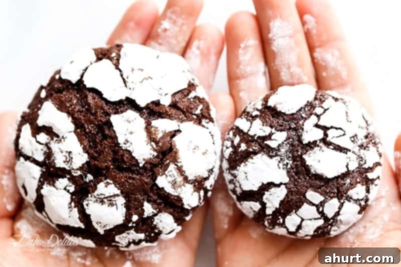 Holding Fudgy Chocolate Crinkle Cookies in each hand 