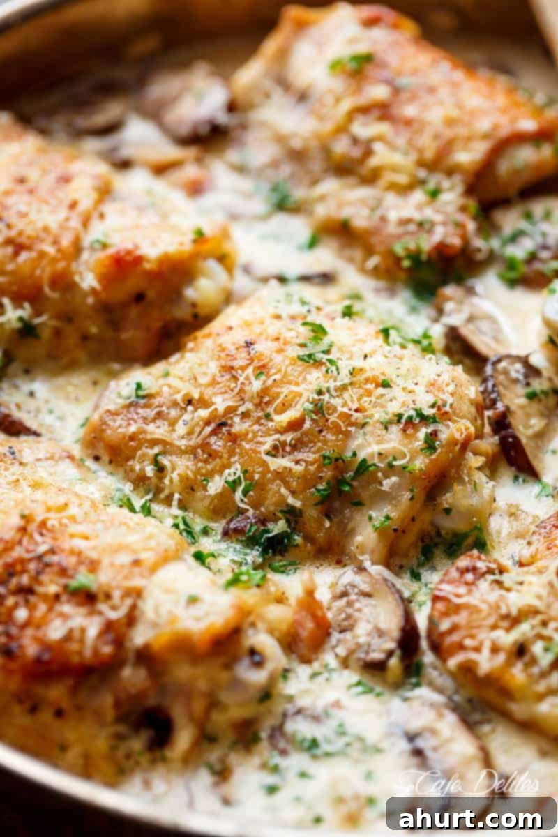 Another close-up of the Creamy Parmesan Herb Mushroom Chicken, highlighting the rich, thick sauce coating the chicken and mushrooms