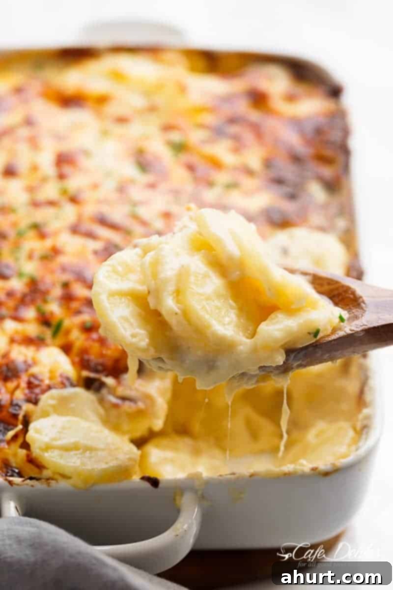 Creamy Parmesan Scalloped Potatoes 11 Garlic Parmesan Scalloped Potatoes layered in a creamy garlic sauce with parmesan and mozzarella