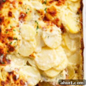 Creamy Parmesan Scalloped Potatoes 12 Cheesy Garlic Parmesan Scalloped Potatoes in a baking tray