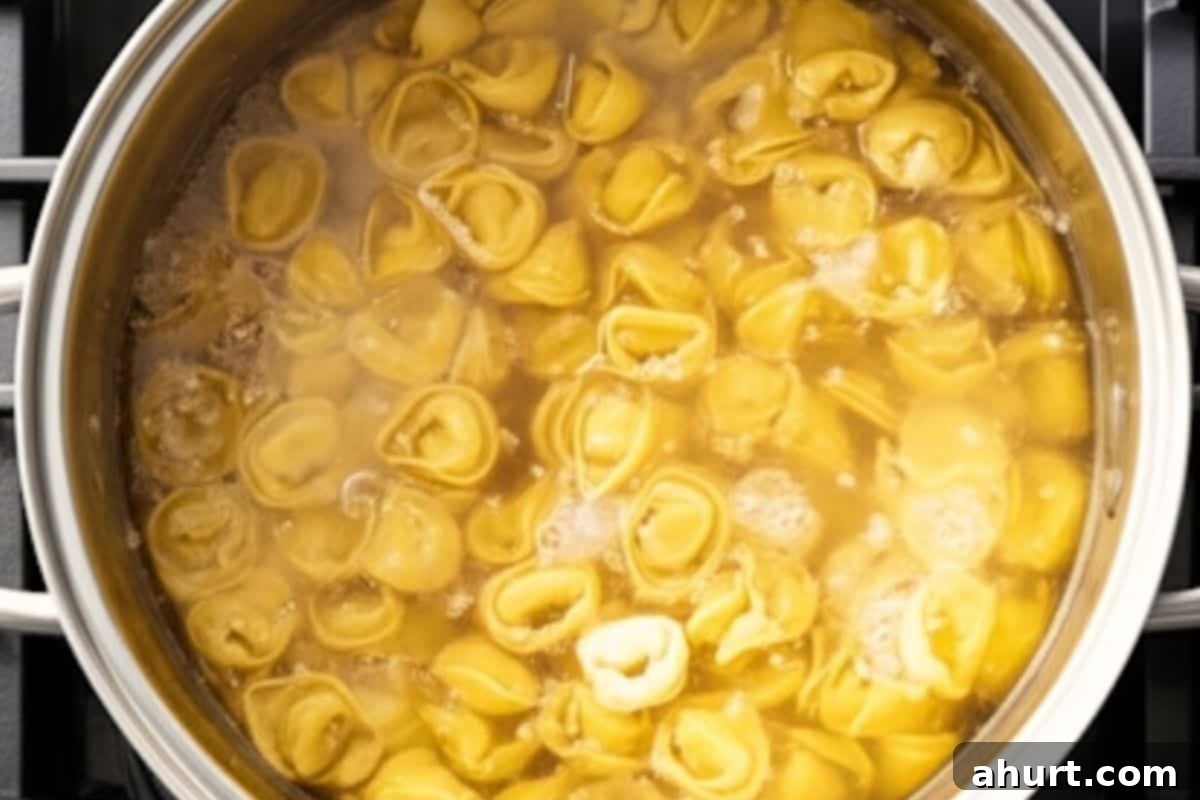 Hearty Beef Tortellini with Chunky Sauce 4 Cook the tortellini in a large pot it boiling water.