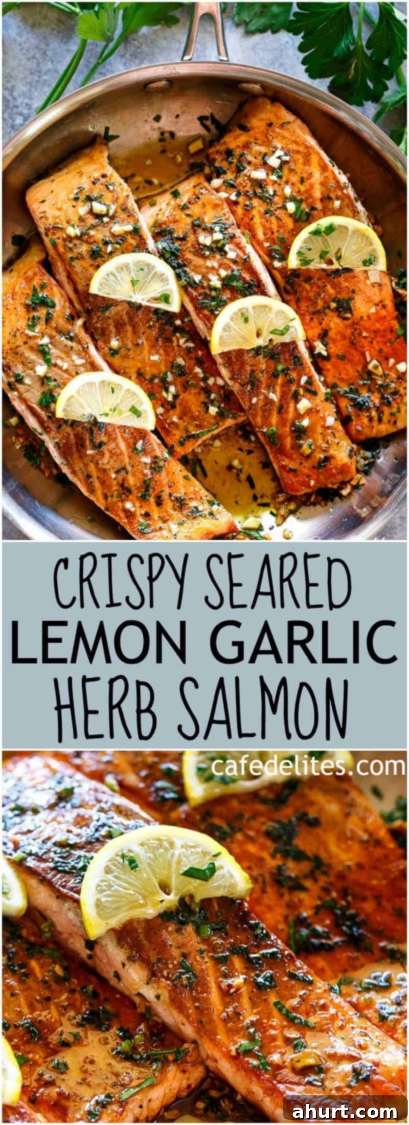 Pan-Seared Salmon with Zesty Lemon Garlic Butter 6 PIN image of Pan Seared Salmon with Lemon Garlic Butter Sauce