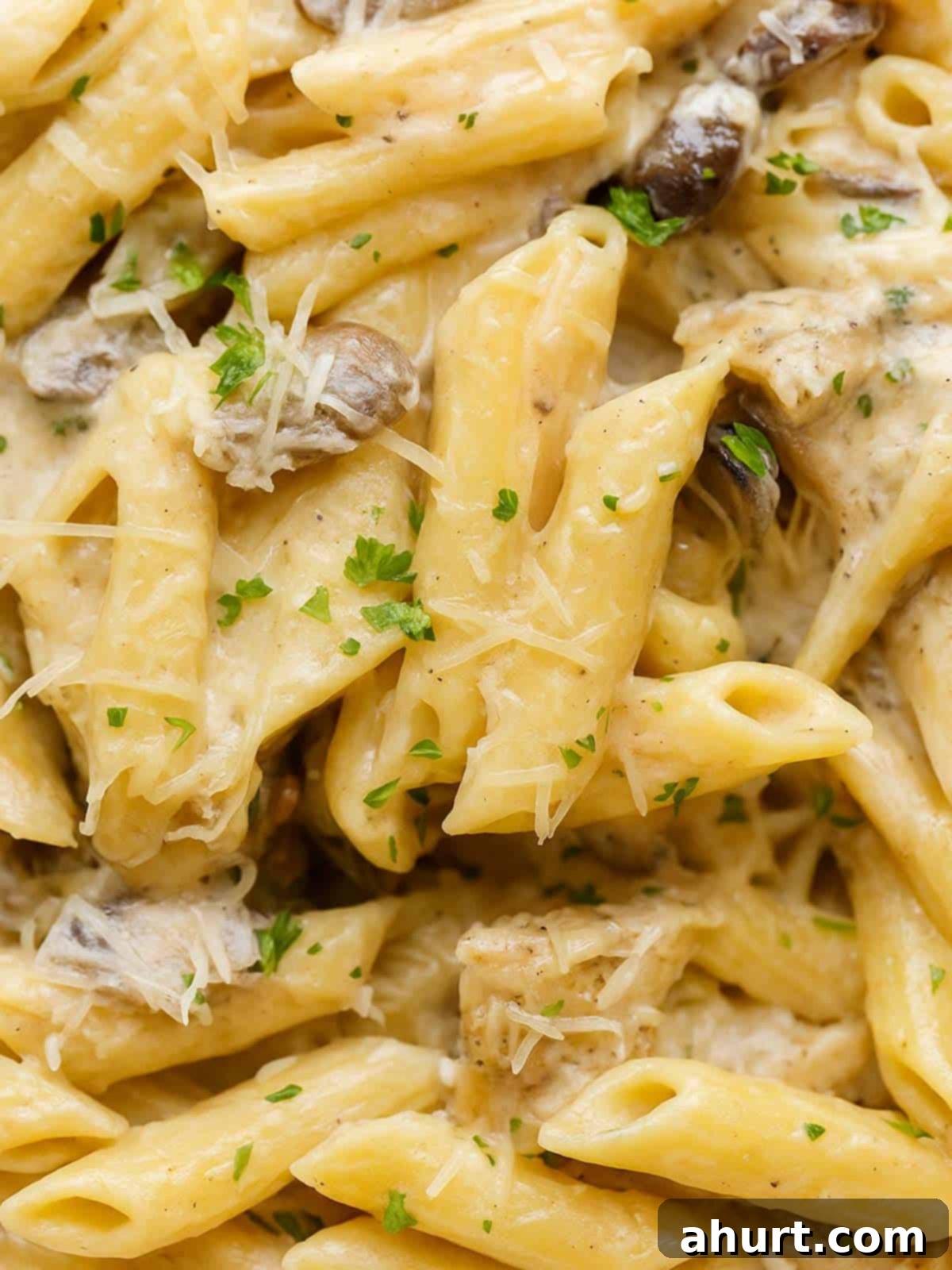 One-Pot Creamy Mushroom Chicken Pasta 10 Super close up of creamy mushroom chicken pasta