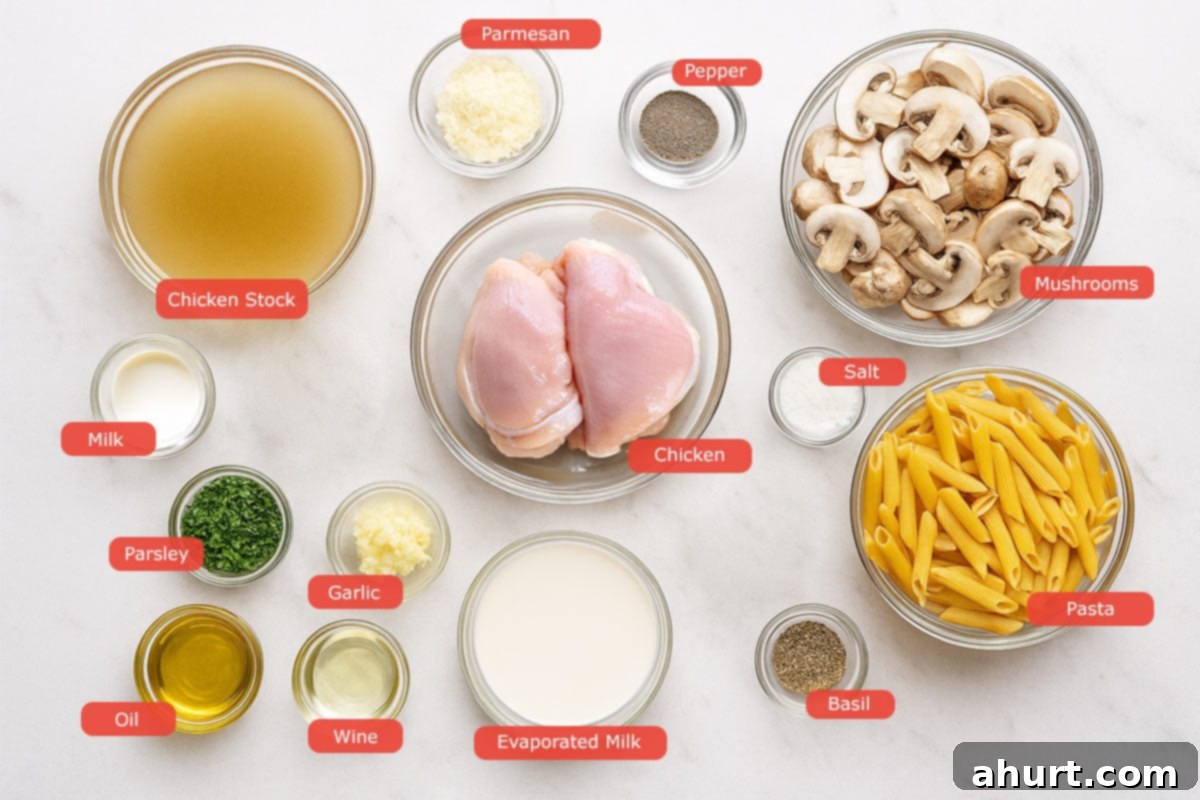 One-Pot Creamy Mushroom Chicken Pasta 3 Ingredients from a top down view against a blue board