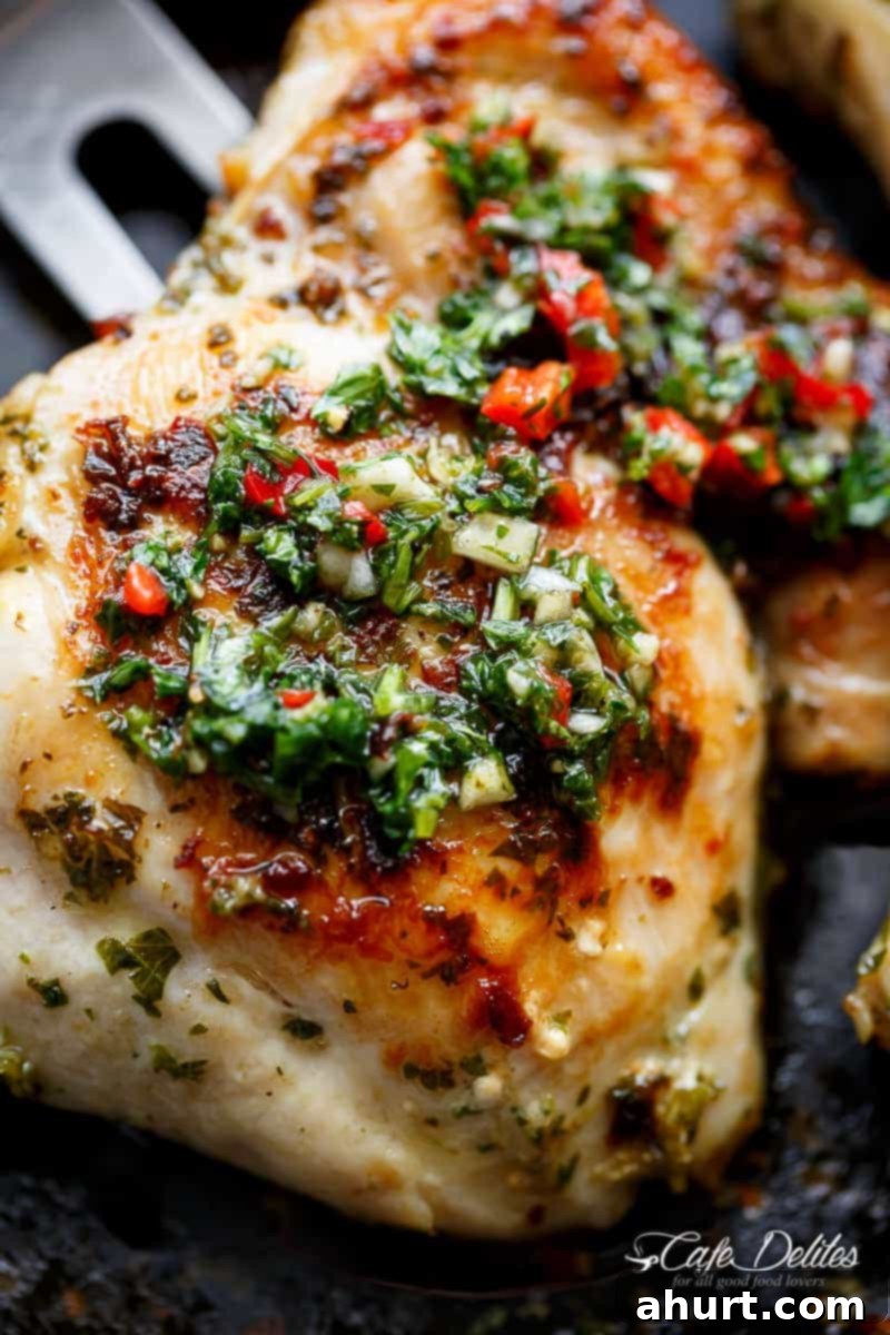 Zoom in image focusing on Grilled Chimichurri Chicken piece