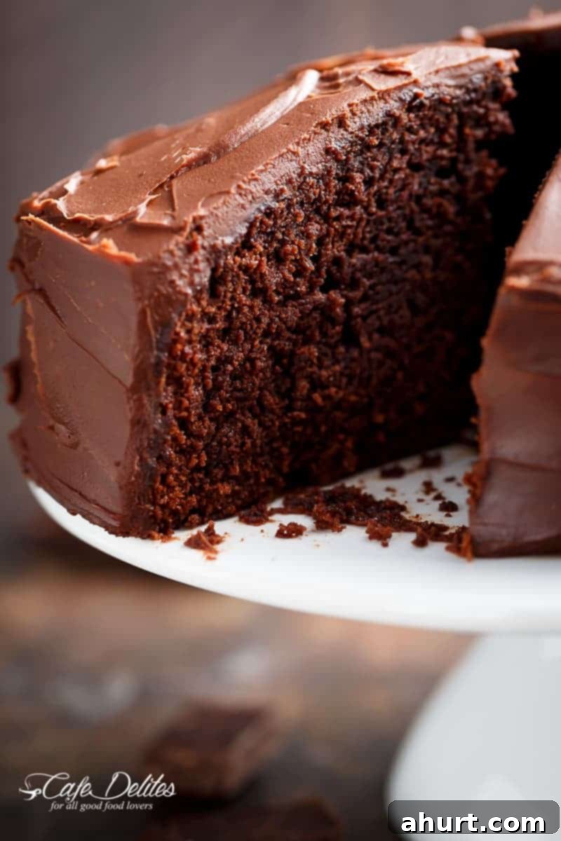 Decadently Fudgy Chocolate Cake 3 A huge, generous slice of the Best Fudgy Chocolate Cake, showing its moist crumb and thick chocolate ganache.