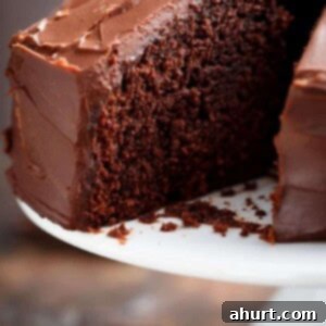 Decadently Fudgy Chocolate Cake 8 A huge slice of Fudgy Chocolate Cake