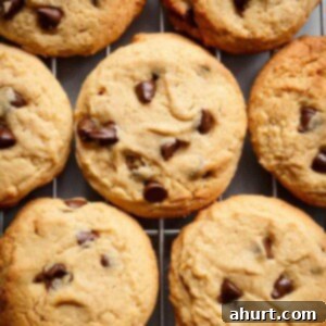 Pillowy Peanut Butter Bliss 11 Soft Peanut Butter Cookies are crispy on the outside, soft and chewy on the inside on the grill