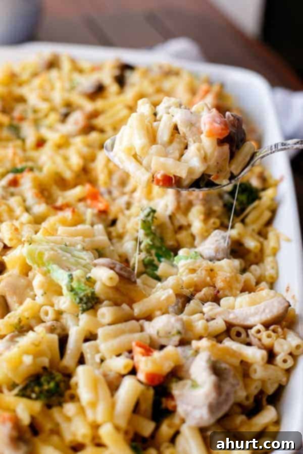 Creamy Chicken and Mushroom Macaroni Cheese Bake on a tray