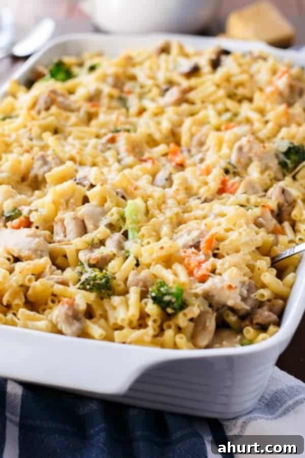 Creamy Chicken and Mushroom Macaroni Cheese in a tray 