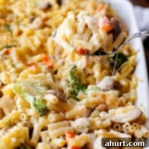 Velvety Chicken Mushroom Macaroni Casserole 10 Creamy Chicken and Mushroom Macaroni Cheese Bake on a tray