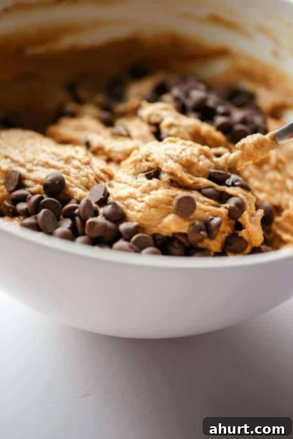 Peanut Butter & Chocolate Chip in a bowl