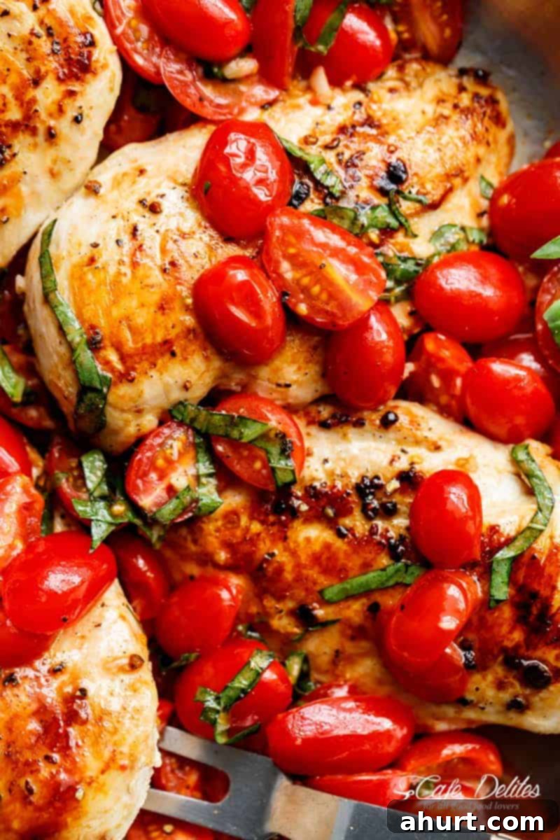 Zoom in image of Garlic Tomato Basil Chicken, showing close up of tender chicken and sauce