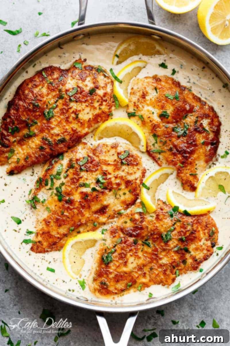 Velvety Chicken Francese 2 Top view image of Creamy Chicken Francese garnished with fresh parsley, served with a side of pasta.
