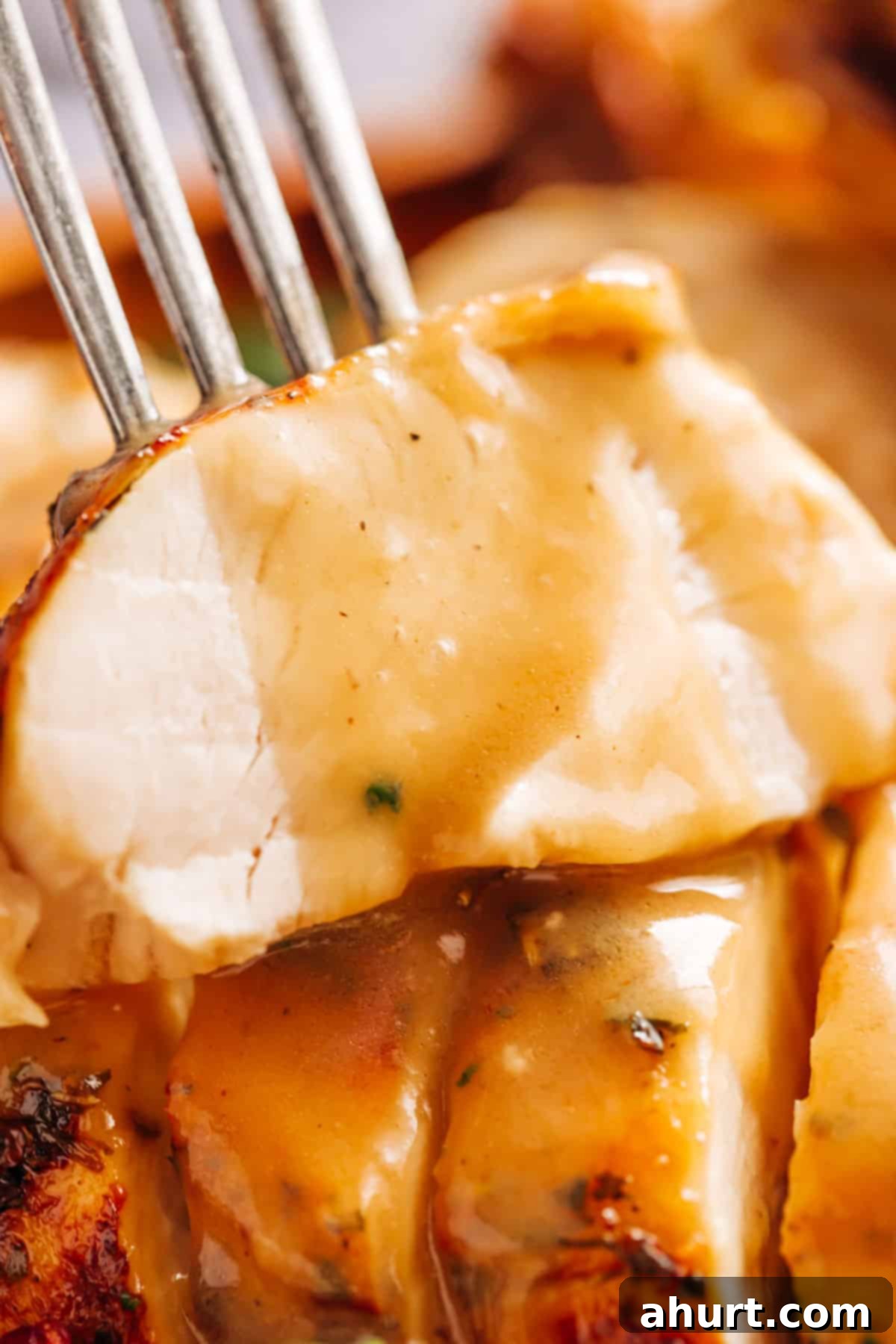 Perfect Crispy Skin Slow Cooker Turkey and Rich Gravy 7 A close up image of a slice of turkey dipped in homemade gravy.