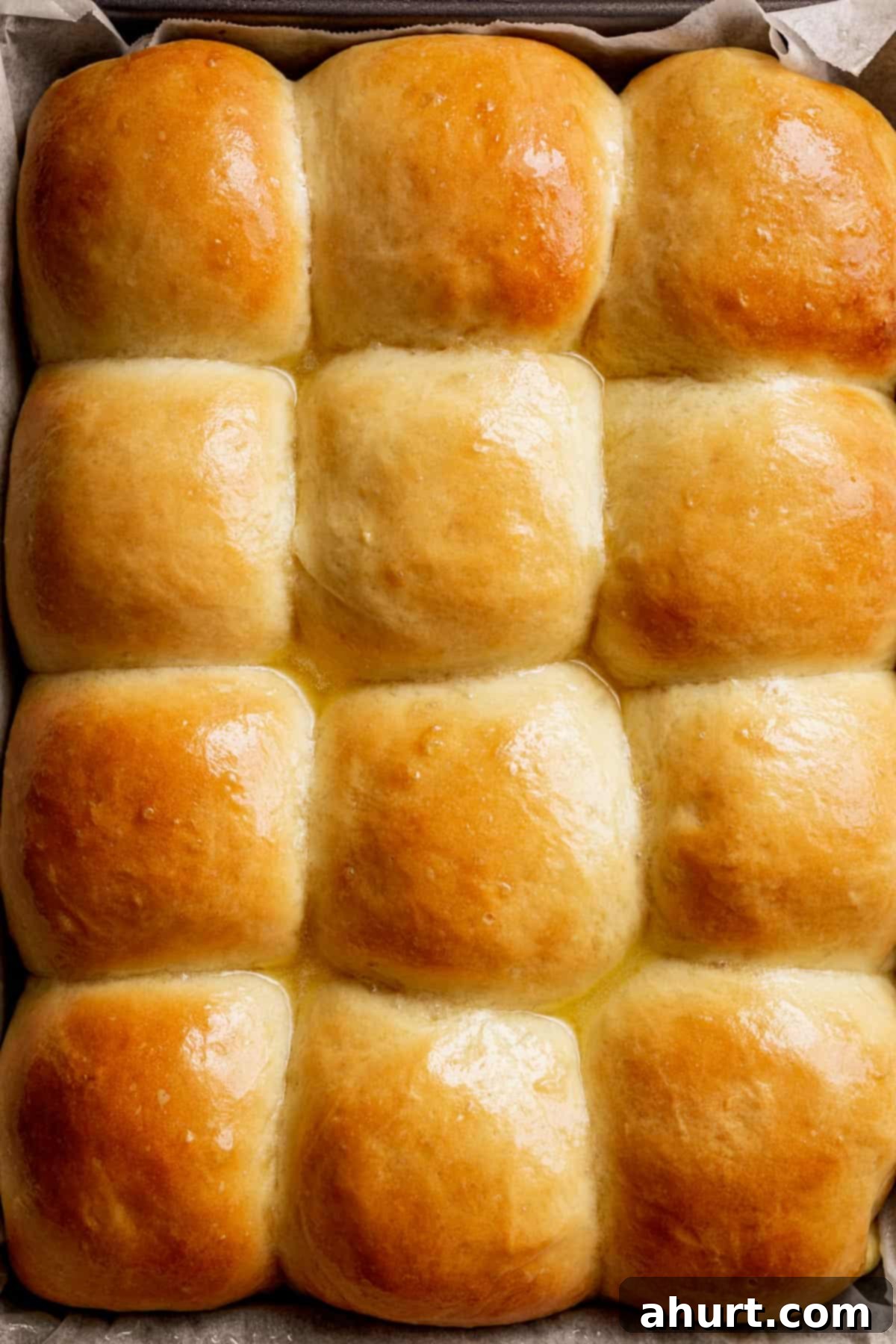 Pillowy Soft Dinner Rolls Hand Kneaded And Egg Free 2 A tray of golden-brown, butter-coated soft dinner rolls, fresh from the oven, ready to be served.