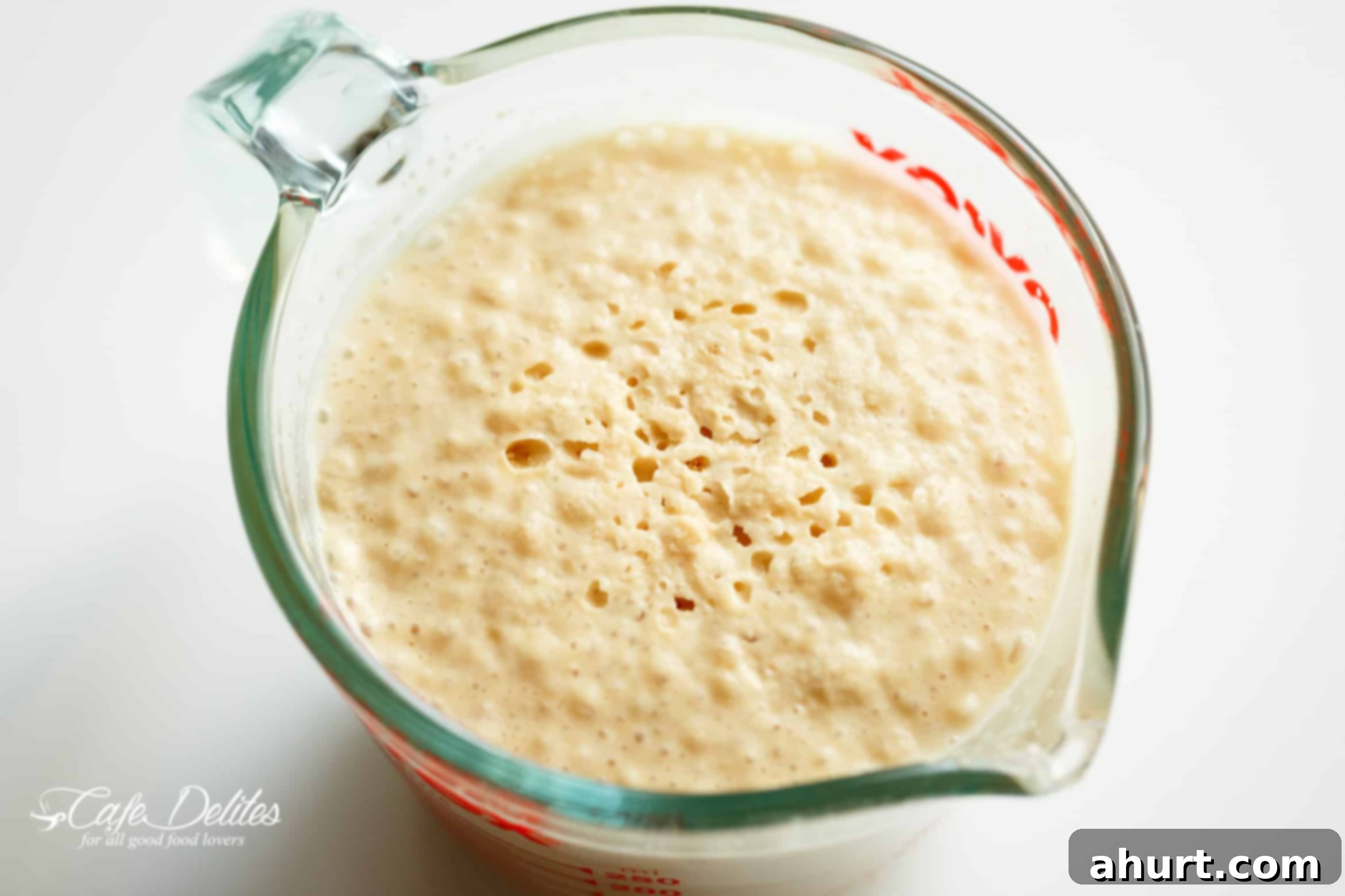Pillowy Soft Dinner Rolls Hand Kneaded And Egg Free 4 Active, frothing rapid-rise yeast in a measuring jug, ready to be combined with other ingredients for soft dinner rolls.