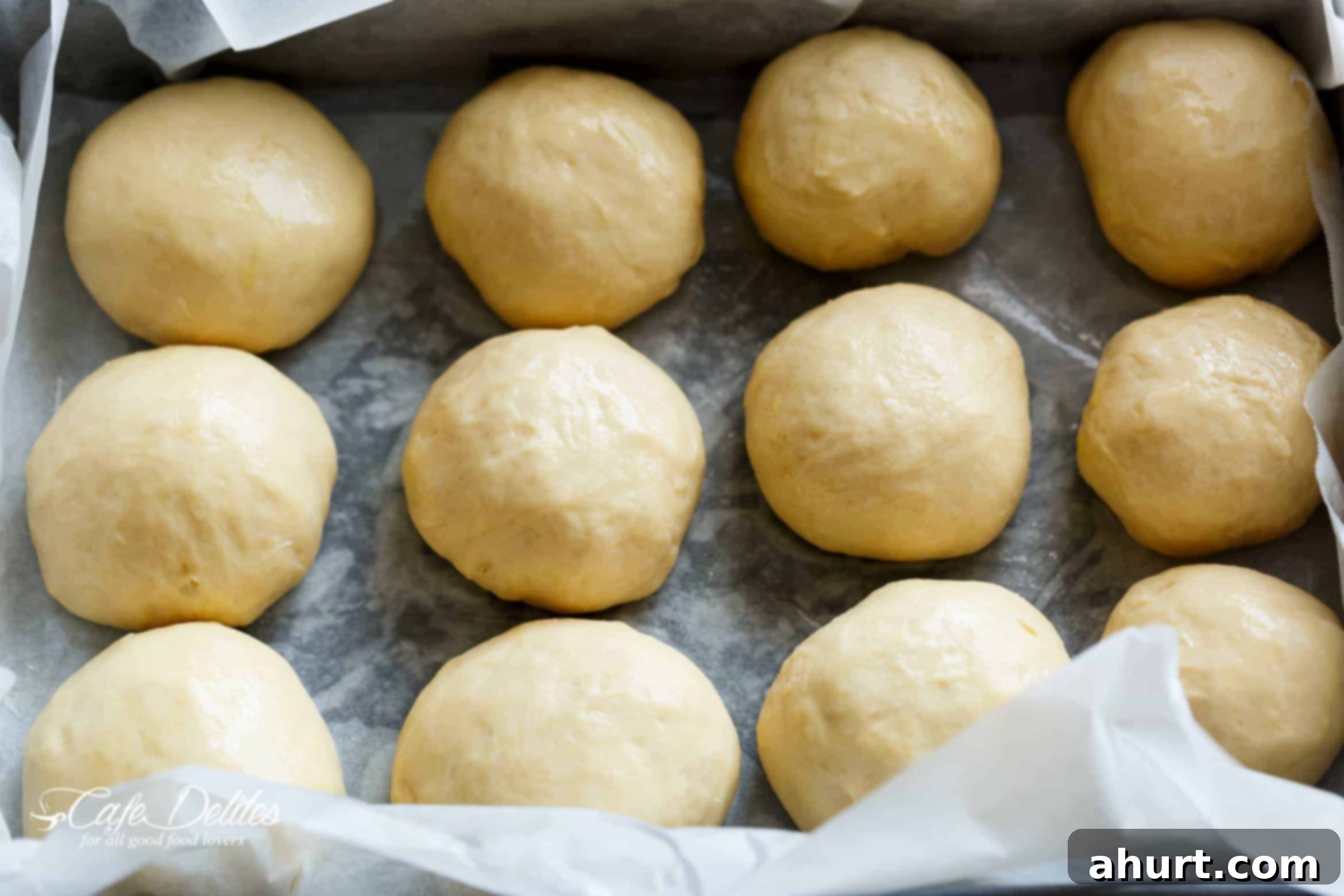 Pillowy Soft Dinner Rolls Hand Kneaded And Egg Free 6 Raw dough balls resting on a baking paper-lined tray, covered with cling wrap, undergoing their second proof before baking.