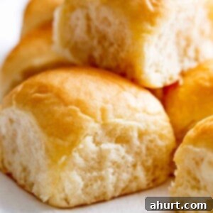 Pillowy Soft Dinner Rolls Hand Kneaded And Egg Free 10 Easy Soft Dinner Rolls is a simple recipe! No mixer needed, hardly ANY kneading, PLUS NO EGGS! Fluffy, soft and perfect dinner rolls, you cant miss !