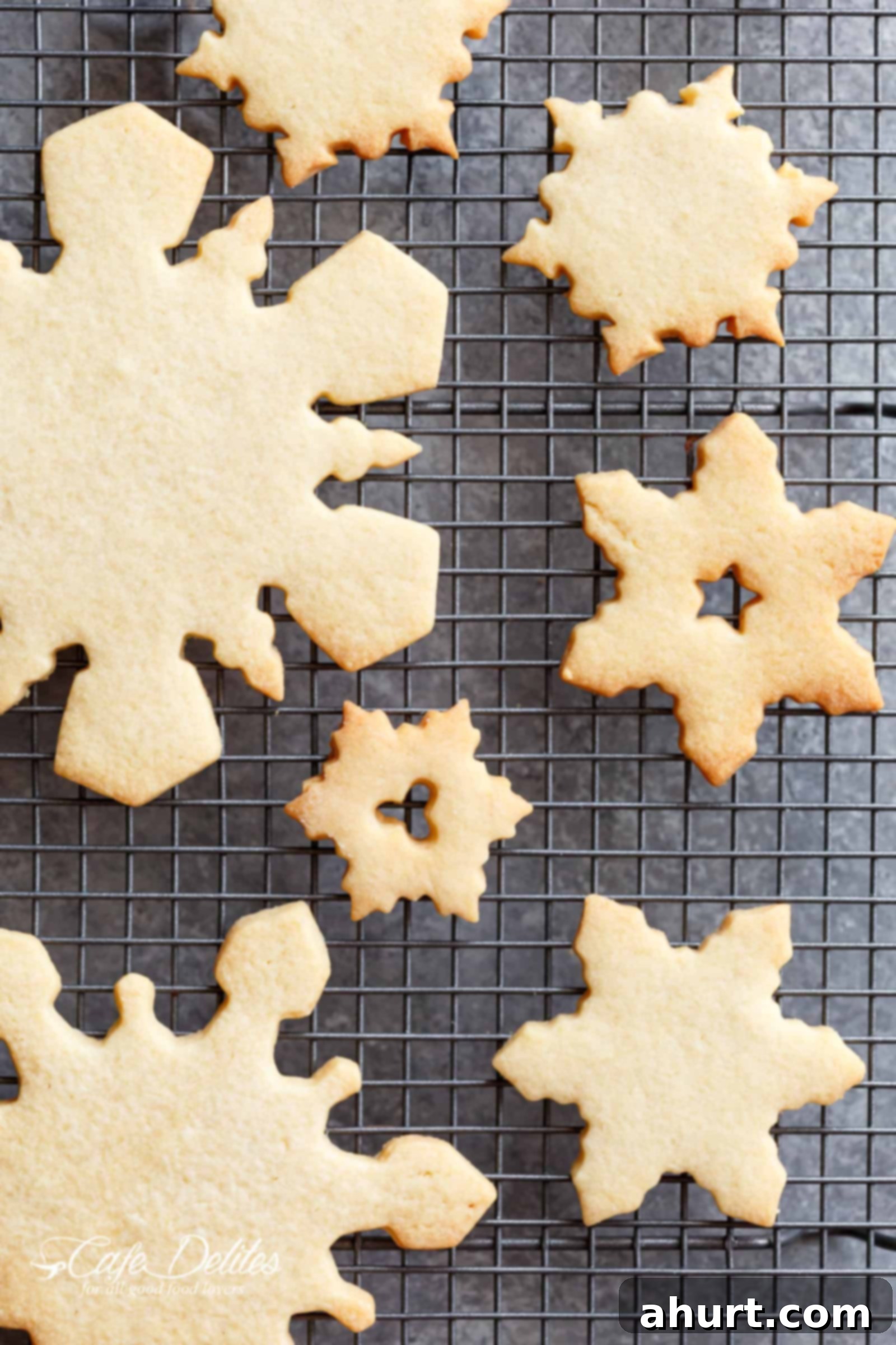 Perfect Christmas Sugar Cookies 3 Christmas tree and star shapes cut out of sugar cookie dough, ready for baking.