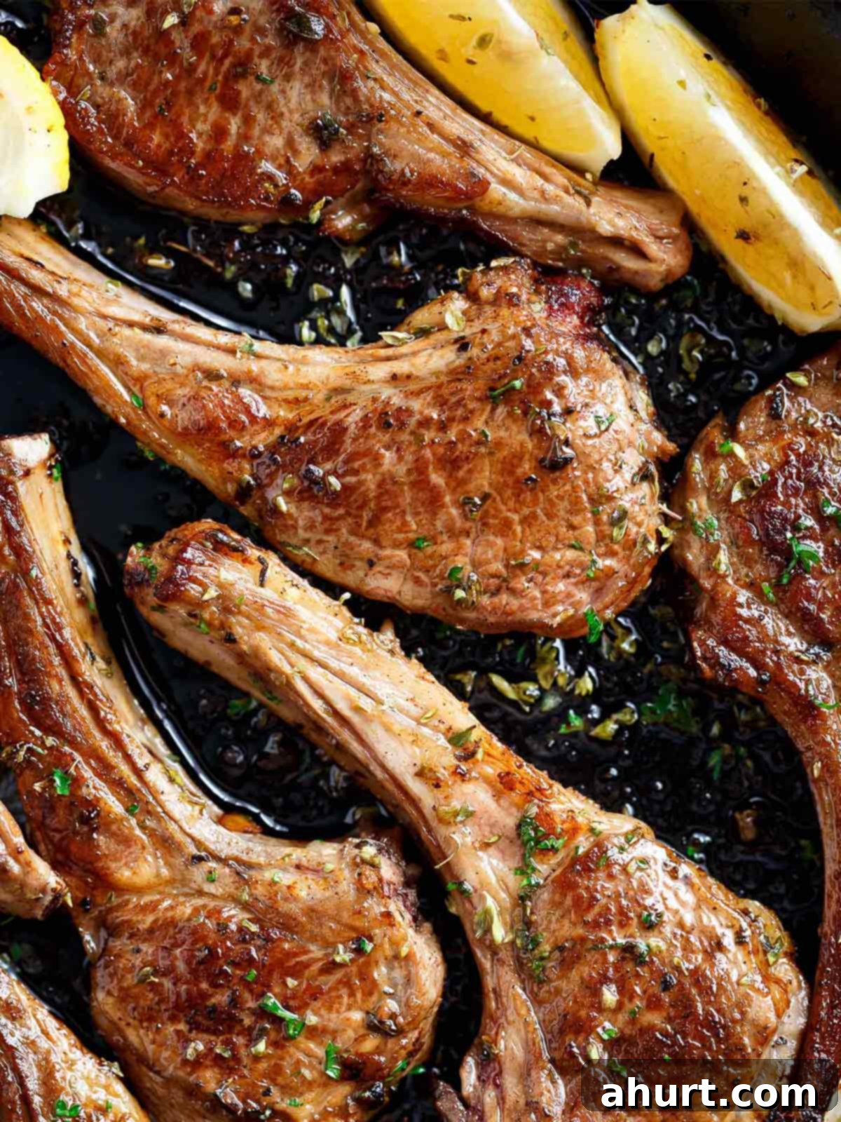 Traditional Greek Lamb Chops 2 Juicy Lamb Chops Seared in a pan, close up, with slices of lemon