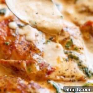Decadent Tuscan Chicken 10 spinach creamy sauce dripping over Tuscan Chicken with sun dried tomatoes, parmesan cheese and chicken breast