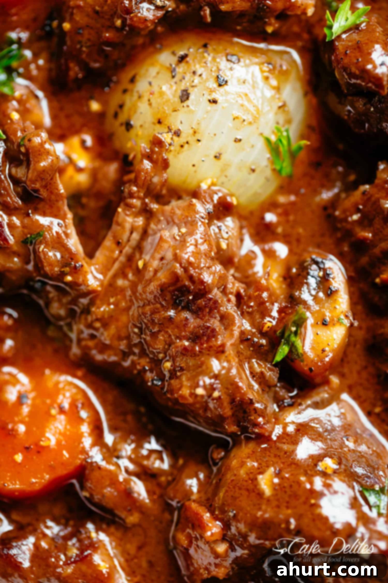 Beef Bourguignon by Julia Child 3 A close up image of a piece of tender fall apart beef pieces simmered in a rich red wine gravy with a white onion and carrots. Garnished with fresh chopped parsley.
