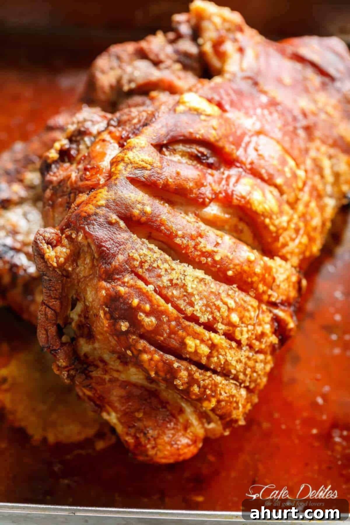 Golden Crackle Pork Roast 9 Close-up image of the beautifully cooked pork roast, just taken out of the oven, with crispy crackling in sharp focus.