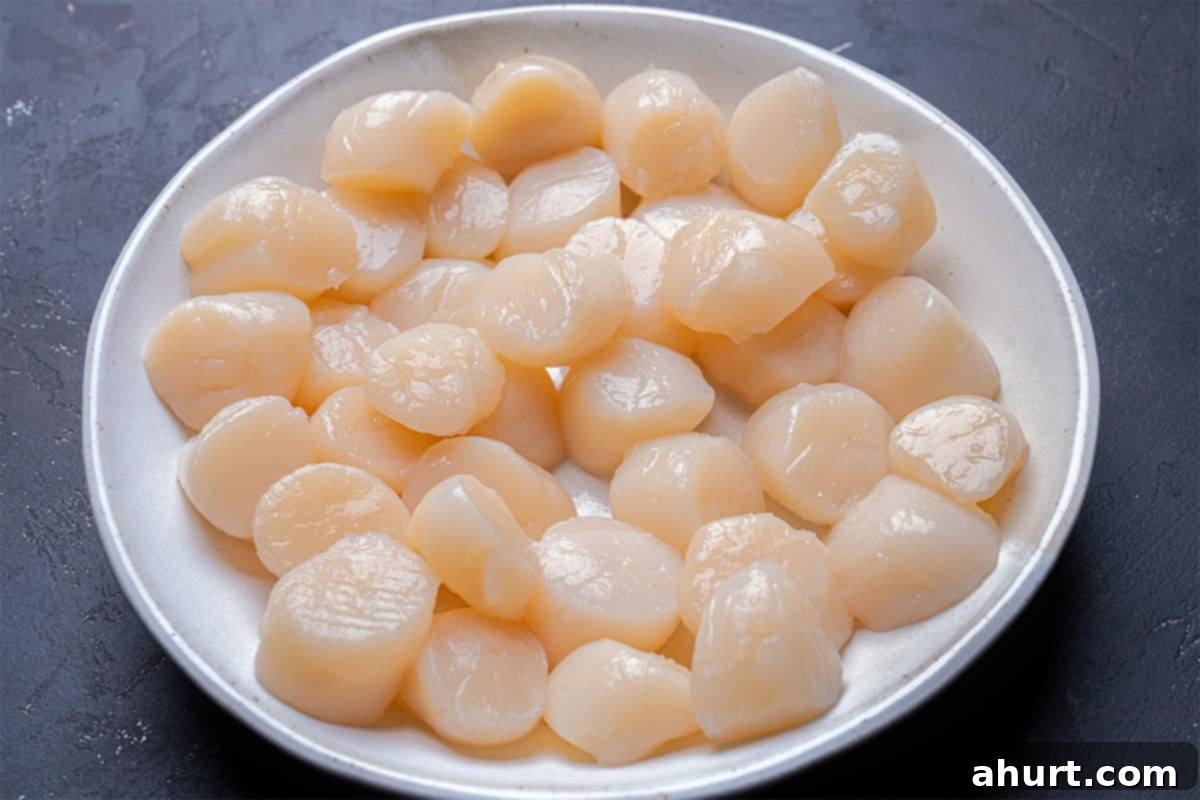 Pan-Seared Golden Garlic Butter Scallops 3 An image of the scallops, laid out in a white bowl, is ready to be used in our recipe.