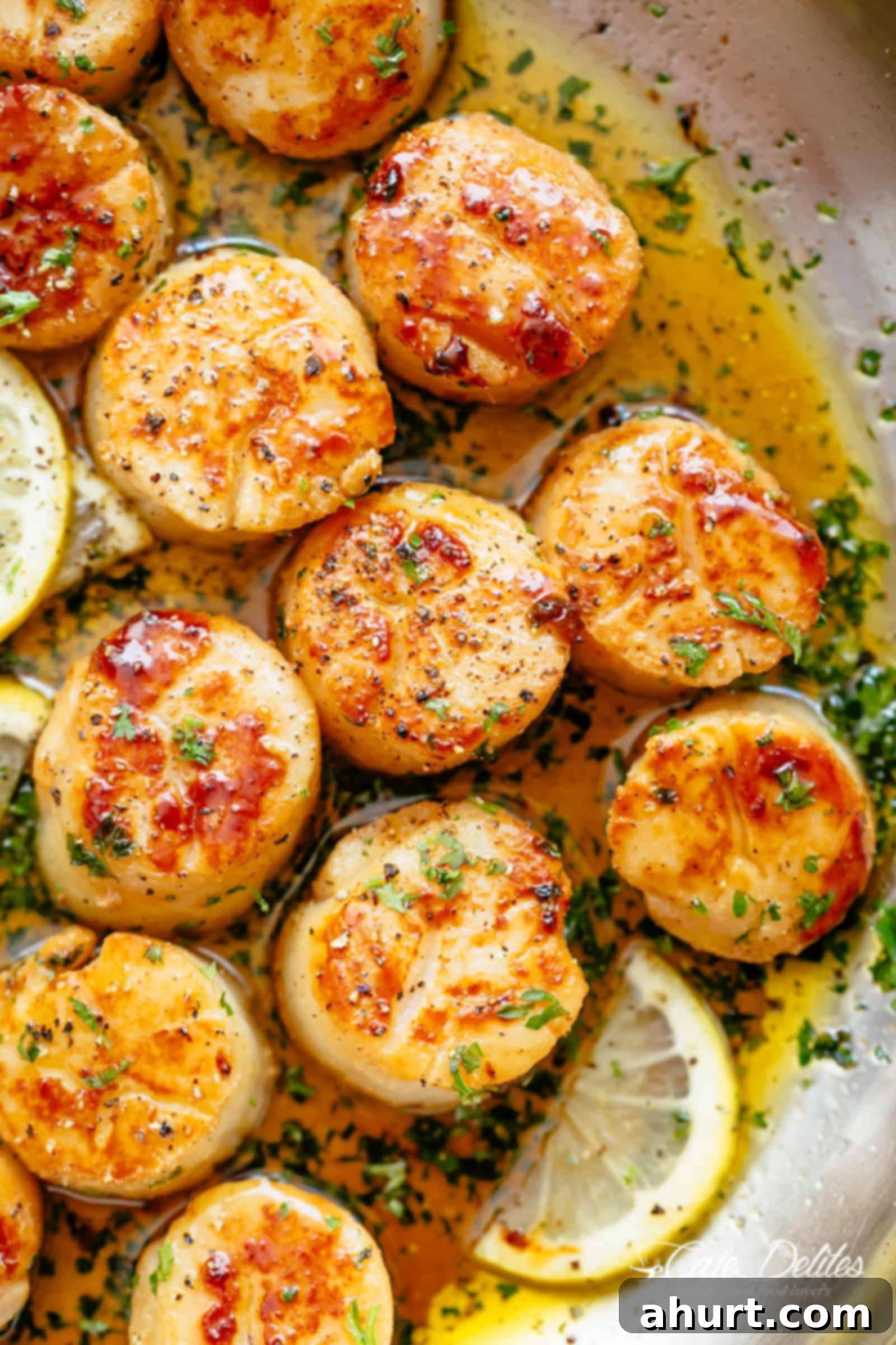 Pan-Seared Golden Garlic Butter Scallops 9 Close-up image of perfectly cooked scallops garnished with freshly cut parsley.
