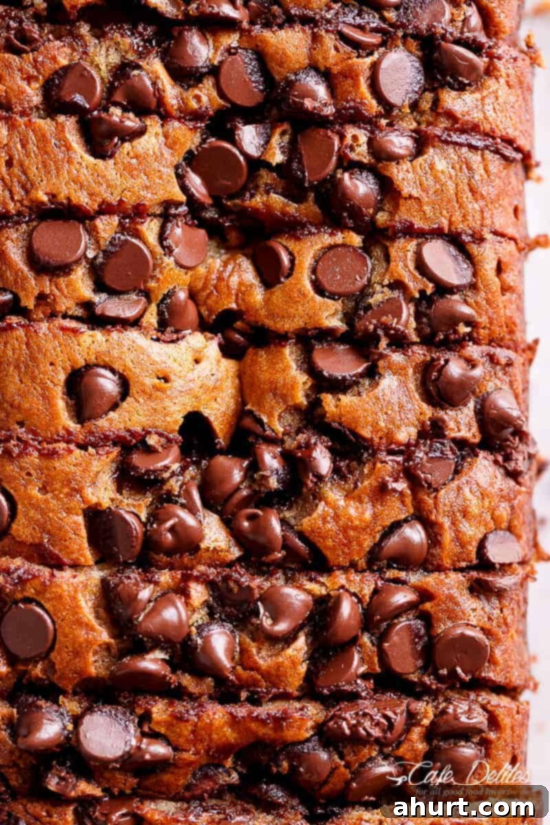 The Ultimate Chocolate Chip Banana Bread 10 Image of perfectly moist banana bread with chocolate chips on top.