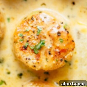 Seared Scallops with Creamy Garlic Sauce 6 Top view image of Creamy Garlic Scallops