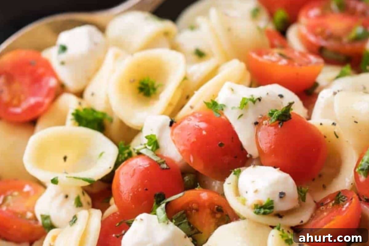 Fresh Caprese Pasta Salad 6 Cooled orecchiette pasta being added to a large mixing bowl with the marinated cherry tomatoes and bocconcini mozzarella.