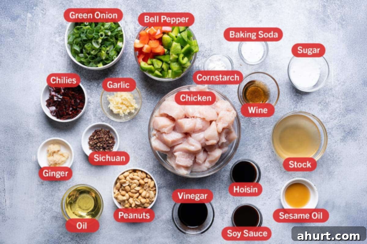 Kung Pao Chicken 2 close up image of all ingredients laid out