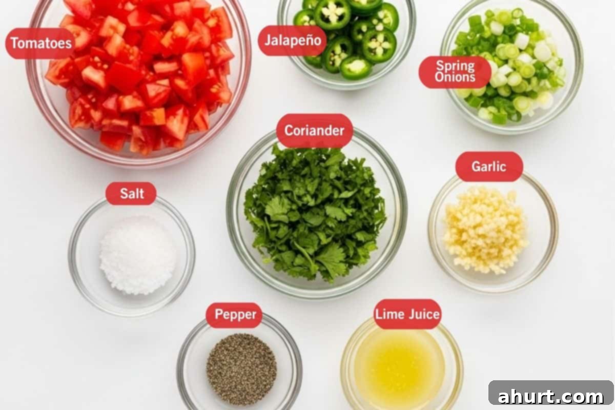 Vibrant Fresh Salsa 2 ingredients to make pico de Gallo