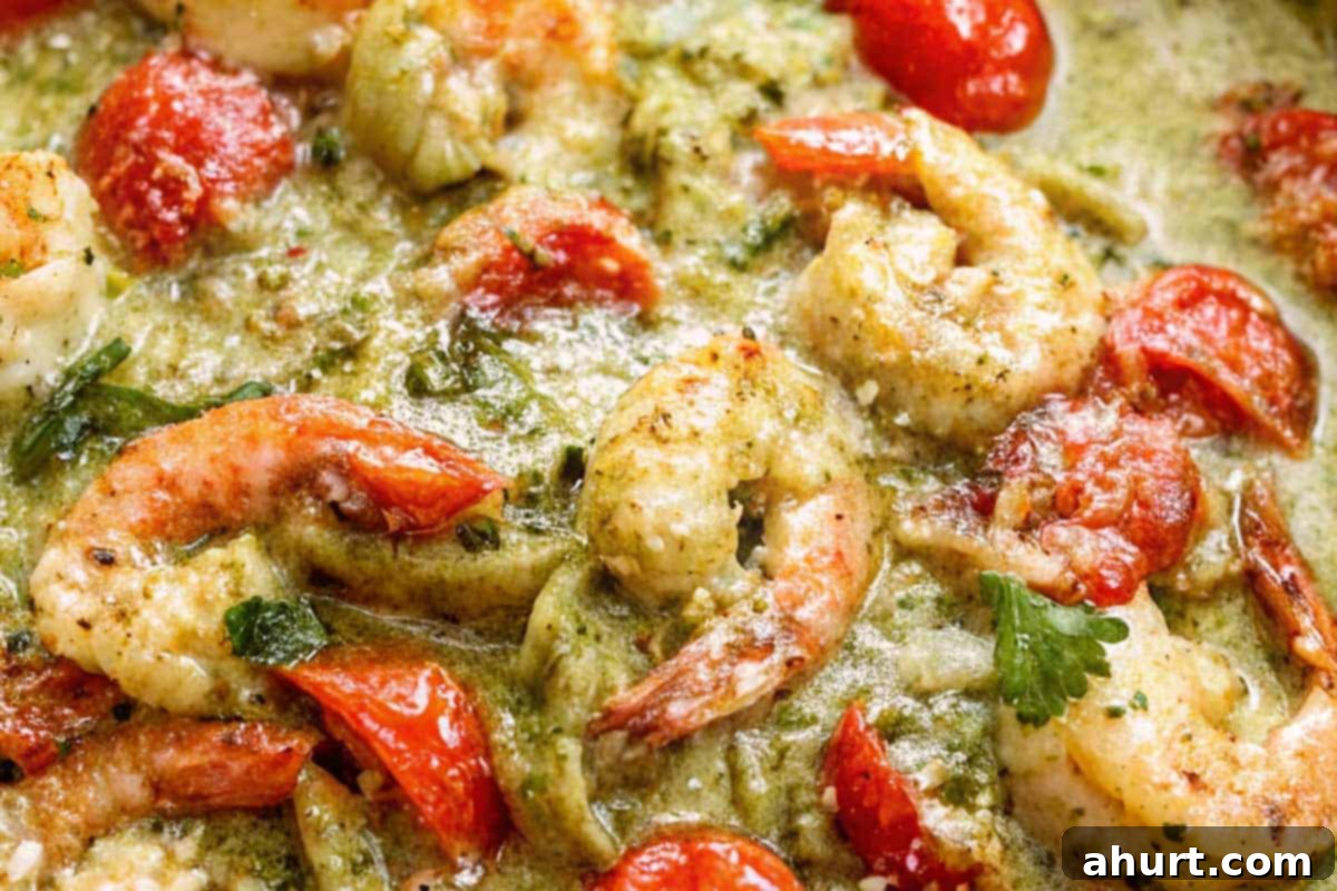 Creamy Pesto Alfredo Shrimp 7 Sprinkled in the chopped parsley with the parmesan over the creamy shrimp and tomatoes.