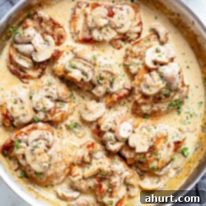 Creamy Mushroom Garlic Chicken Thighs 11 Creamy Garlic Mushroom Chicken Thighs in a pan