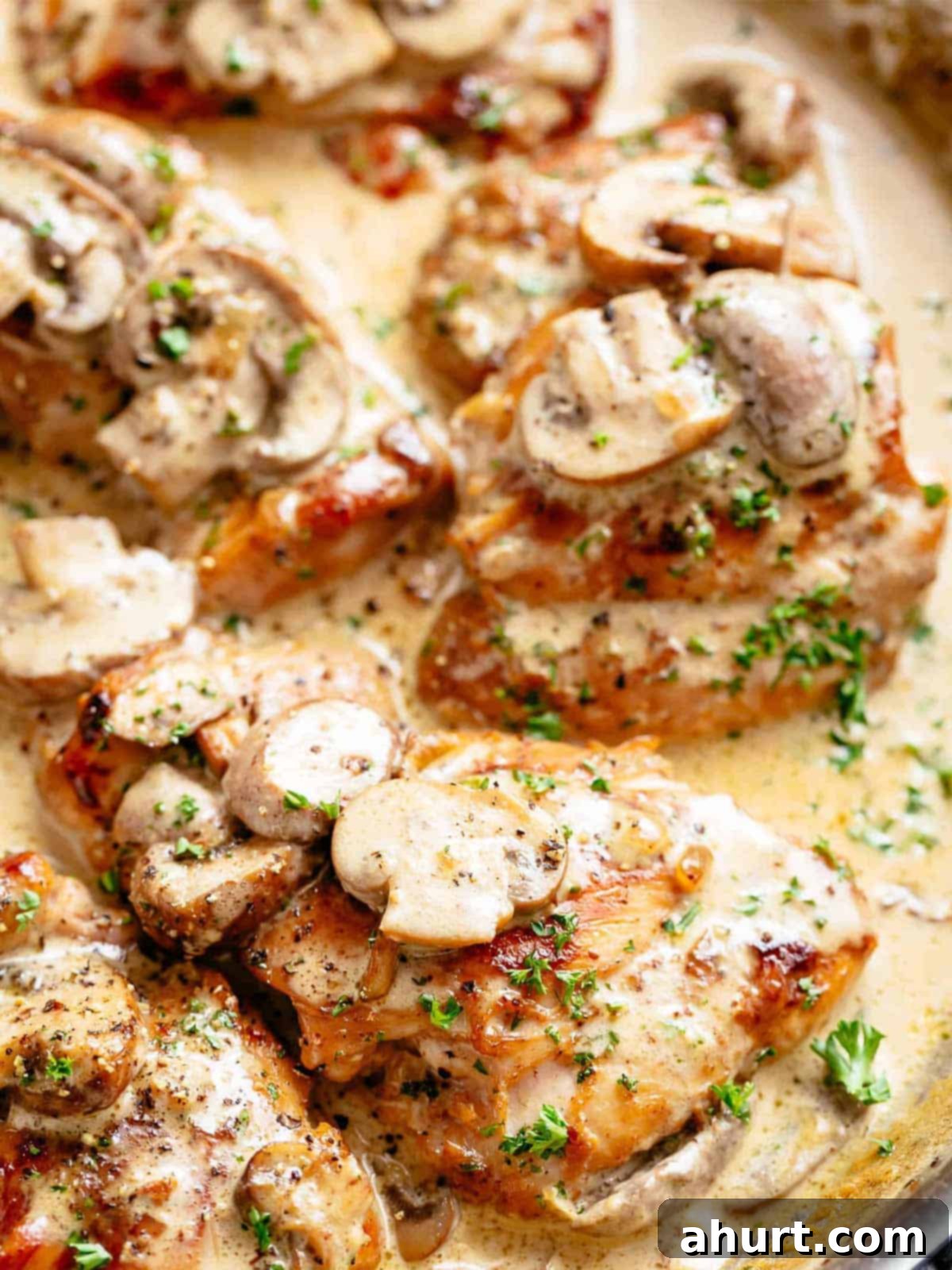 Creamy Mushroom Garlic Chicken Thighs 10 Chicken Thighs With Creamy Mushroom Sauce garnished with parsley in a pan as a close up