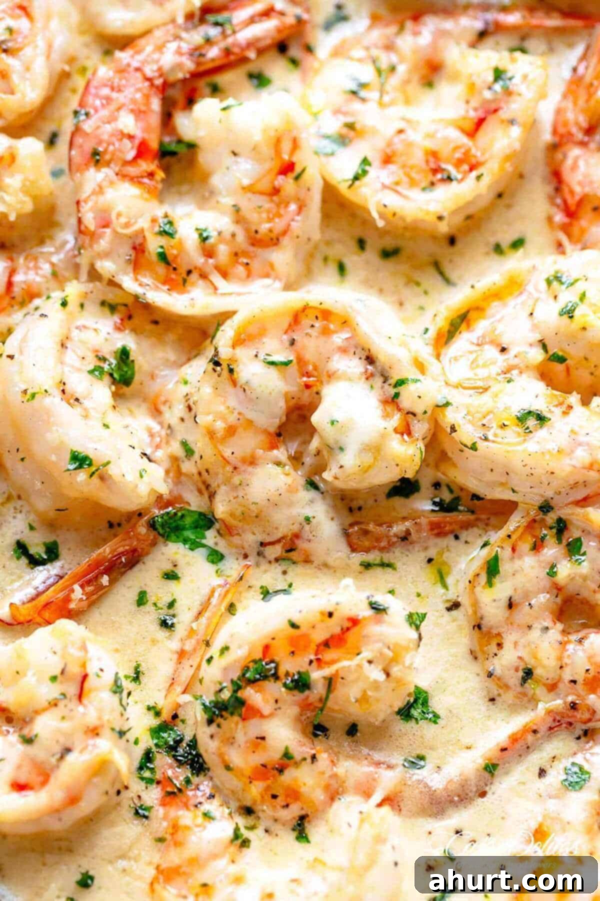 Pan Seared Creamy Garlic Shrimp | cafedelites.com Close-up image of scrumptious shrimp enveloped in a velvety garlic Parmesan sauce.