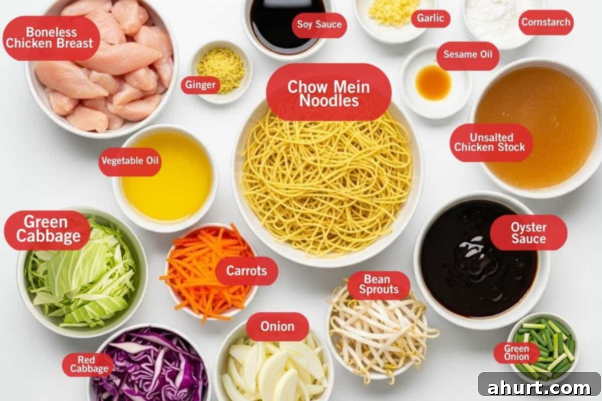 Savory Chicken Noodle Stir-Fry 3 Flat lay photo of ingredient shot of boneless chicken breast, ginger, soy sauce, garlic, cornstarch, sesame oil, vegetable oil, chow mein noodles, unsalted chicken stock, green cabbage, carrots, onion, bean sprouts, oyster sauce, red cabbage, green onions