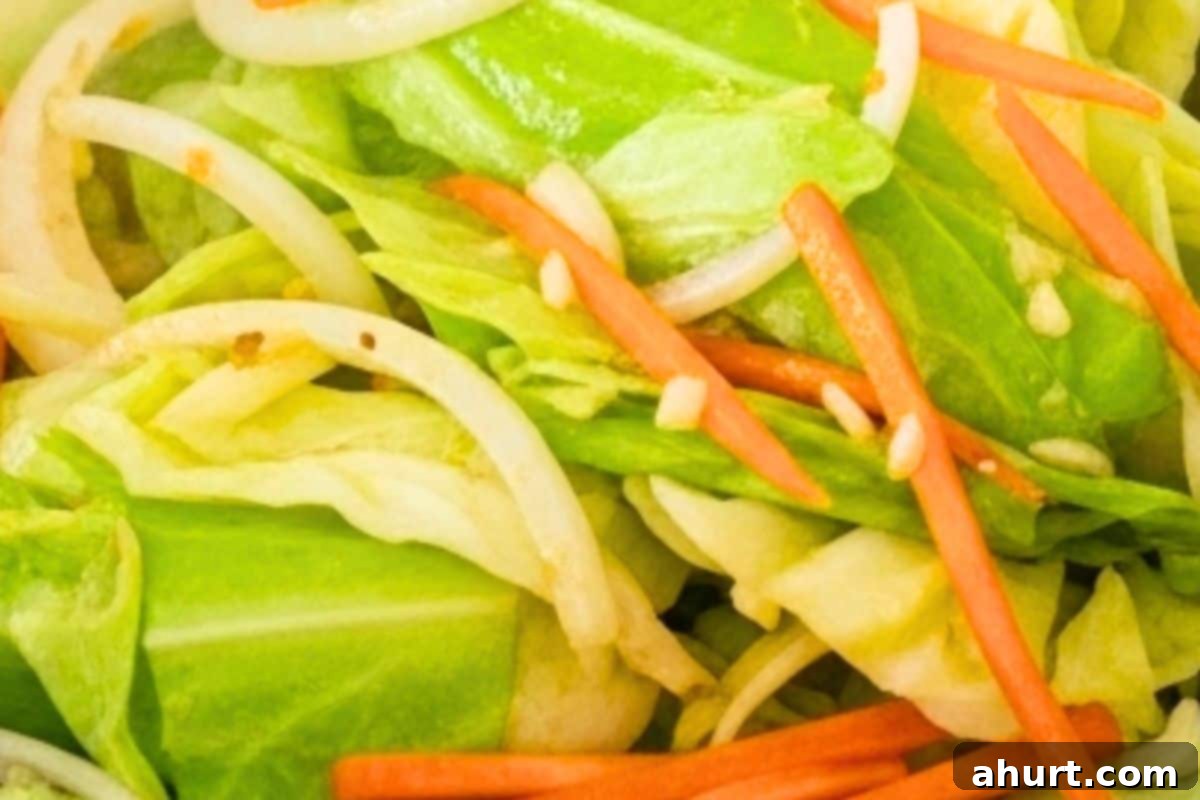 Savory Chicken Noodle Stir-Fry 9 Add the green cabbage, onions and carrots and stir.