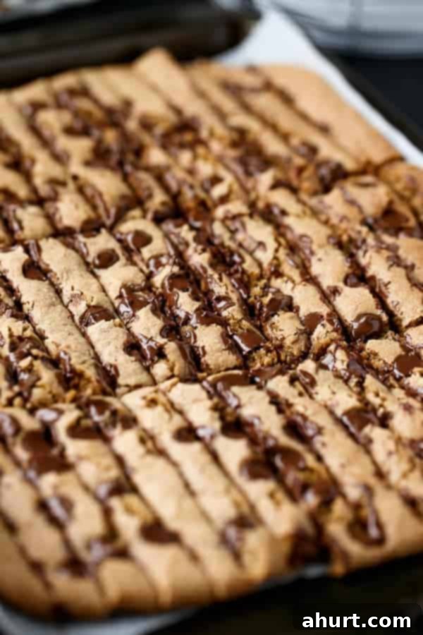 Skinny Chocolate Chip Cookie Sticks 3 Low Fat Chocolate Chip Cookie Sticks on a baking tray