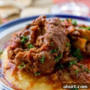 Tender Osso Bucco with a Rich Red Wine Reduction and Creamy Polenta 6 Osso Bucco in Red Wine Salsa with Soft Polenta on a plate