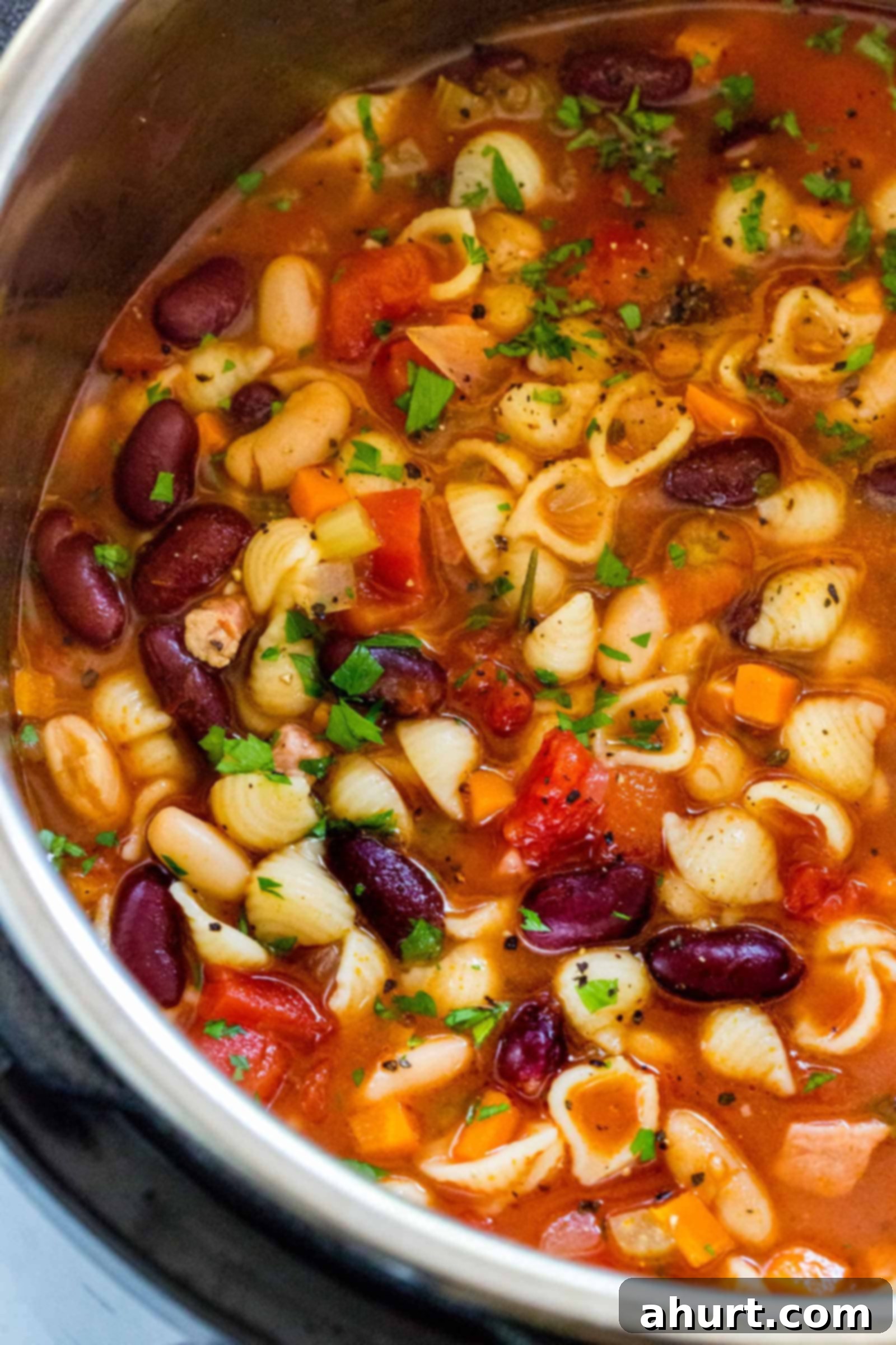 Close up image view of Instant Pot Pasta e Fagioli