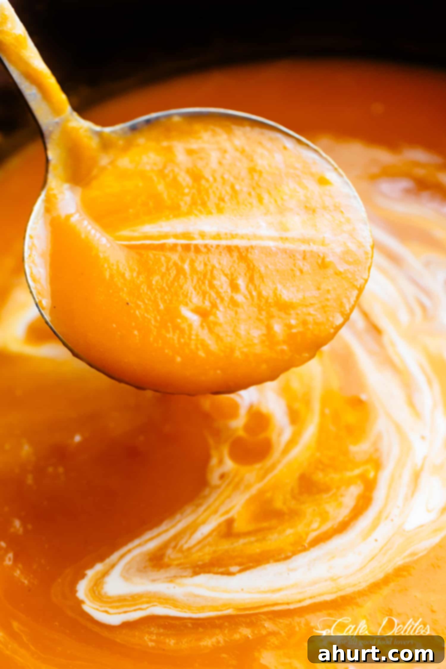 Silky Butternut Elixir 2 Butternut Squash Soup in a ladle