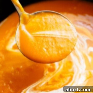 Silky Butternut Elixir 4 Butternut Squash Soup in a ladle