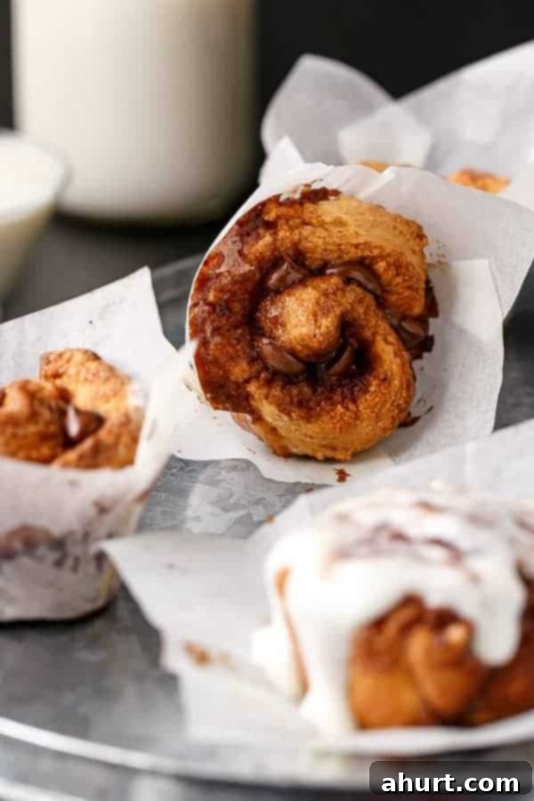 Zoom in image of No Yeast Choc Chip Cinnamon Rolls 