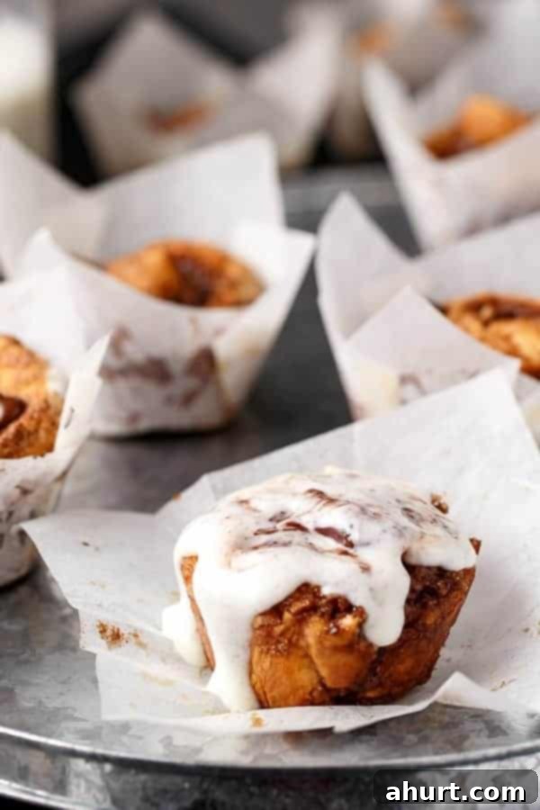 Zoom in image of No Yeast Choc Chip Cinnamon Rolls 