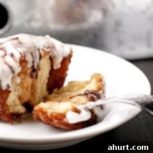 No-Rise Chocolate Chip Cinnamon Buns 9 No Yeast Choc Chip Cinnamon Rolls on a plate